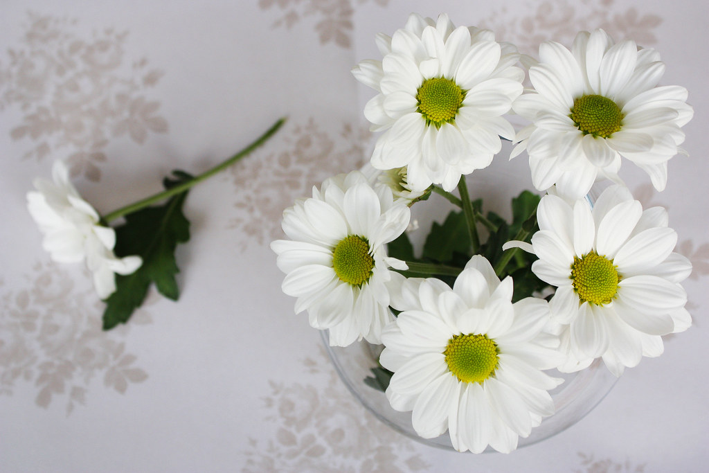 White flowers still life