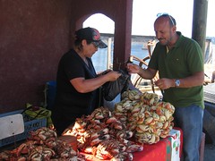 Buy Crabs Claws in Tumbes