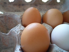farm-fresh eggs