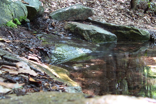 One of the Ledge Springs