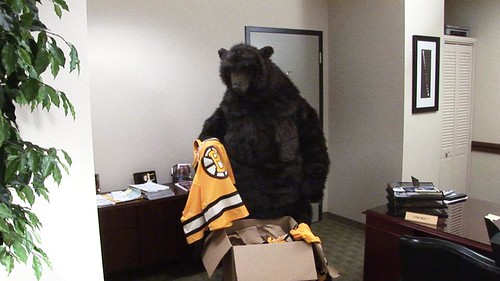 bruins bear. Bruins Bear finds Winter