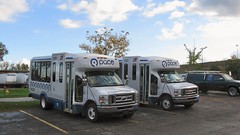 First Transit New 2008 Ford paratransit buses. Glenview Illinois. October 2008.