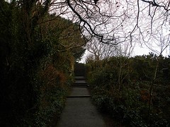 Walking on Dalkey Hill