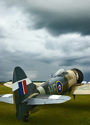 Warbird picture - Hawker Tempest