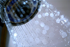 Shower Head Water Drops EXPLORE 7-26-09 4