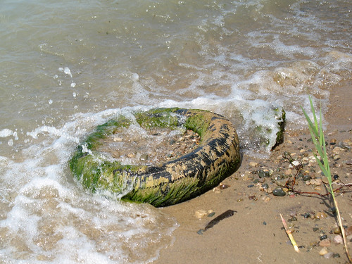 Tire on the Beach