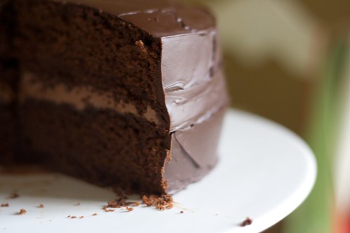 Vegan Chocolate Cake Take 1