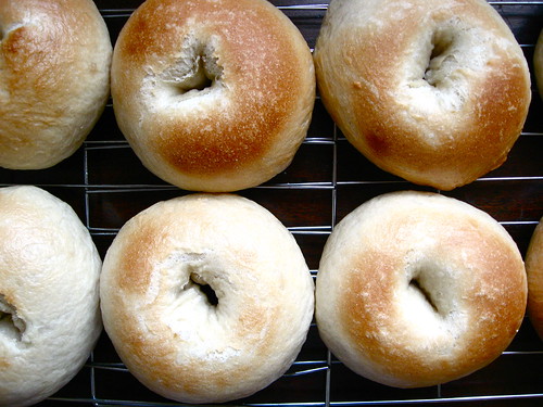 4004598663 d7a657d5f1 new york style bagel recipe