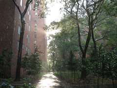 Summer Sun Shower in Stuyvesant Town by Marianne O'Leary, on Flickr