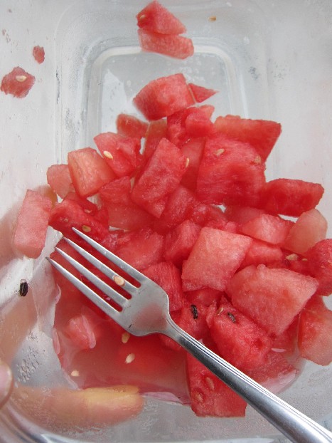 Watermelon Rules