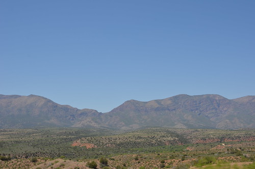 Arizona 2011 231