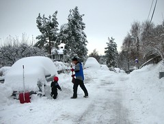 Snow in Norway Winter Wonder Land #6