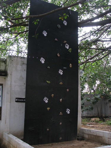 Artificial_Wall_Bangalore_Moming