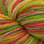 Bountiful Harvest on Cestari  Fine Merino Wool - 4 oz. (...a time to dye)