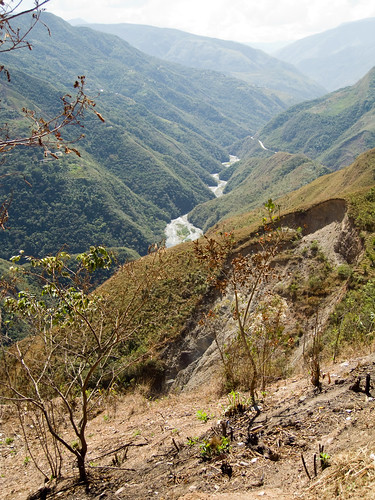 View down Yungas valley