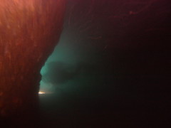 Kumomi Diving