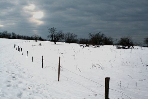 Breakneck Hill Farm in winter