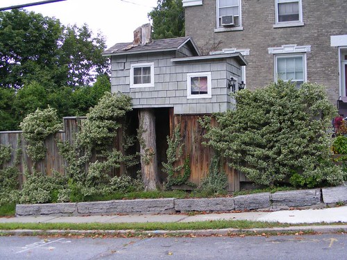 A Stump House