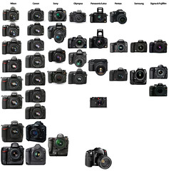 State of the DSLR market: Nikon vs. Canon vs. ...
