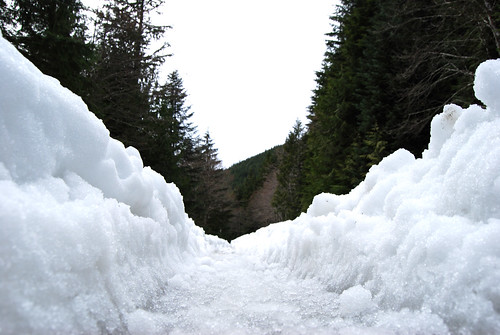 6 - Snow Trench