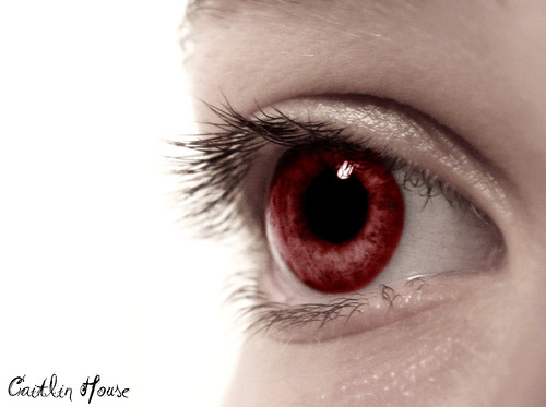The Eye of a Vampire