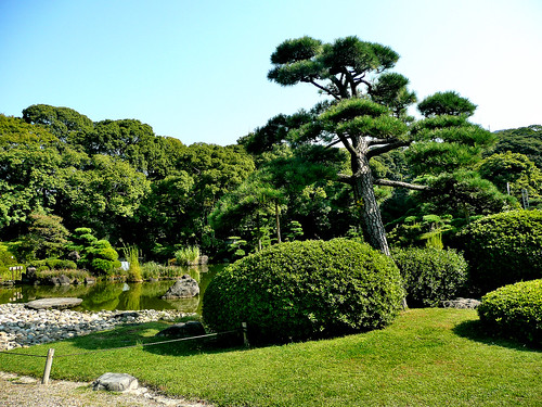 Tennoji Park Trees