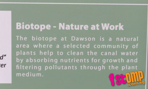 Biotope garden: A source of cleansing rainwater