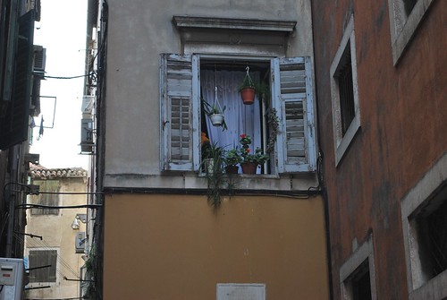 Window in Split