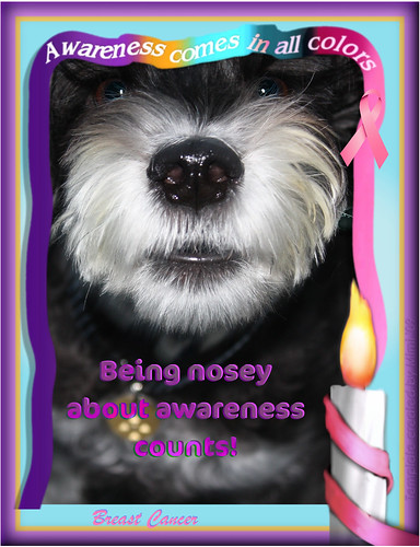 Being nosey about awareness counts!