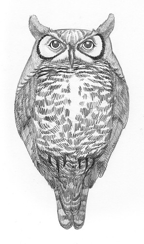 owl pencil
