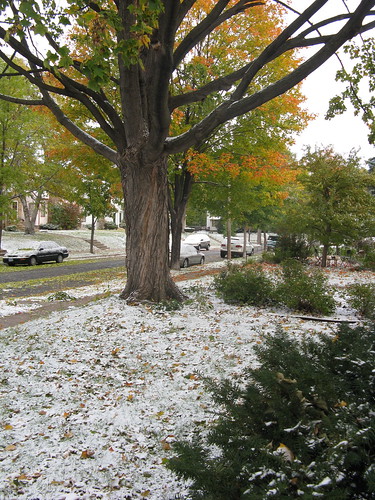 October 10: snow, 17 degree windchill...
