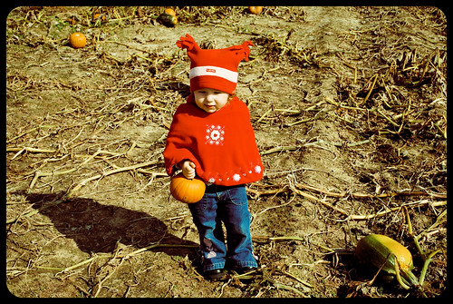 Pumpkin Patch 10/2009
