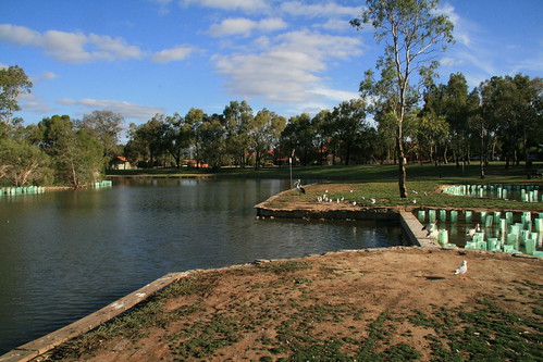 Duck pond at Oakden