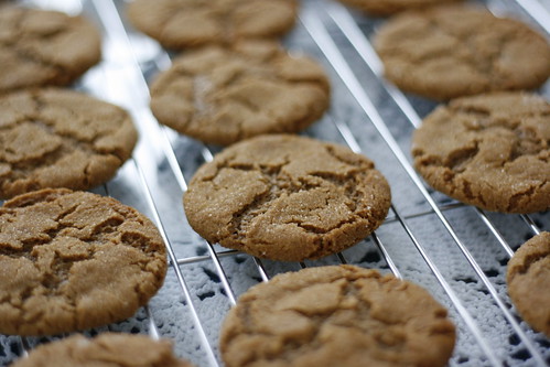 spicy ginger molasses cookies