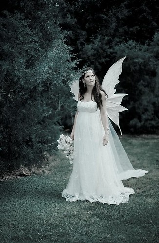 fairytale wedding dress. is Fairy Tale. mermaid
