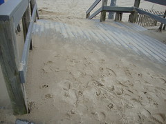 the boardwalk covered in sand