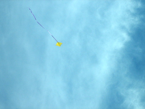 kite in Prospect Park