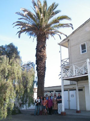 Reencuentro Antofagasta British School