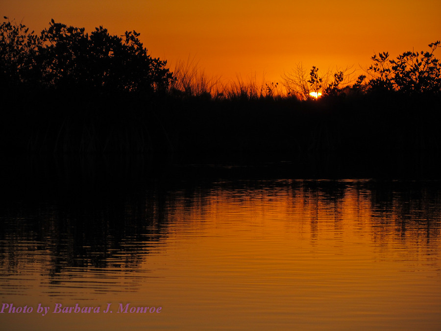 Everglades National Park-Kayaking (11 of 19)