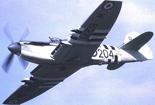 Warbird picture - Fairey Firefly