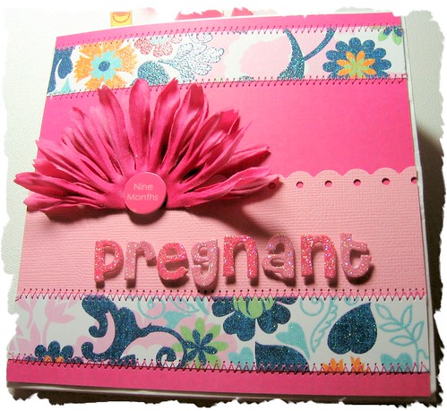 "Pregnant" Paper Bag Mini Album