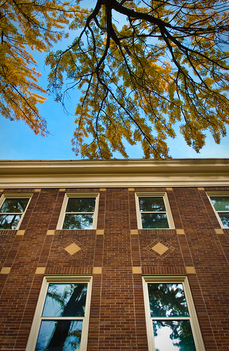 Fall Colors at Monroe Hall-2