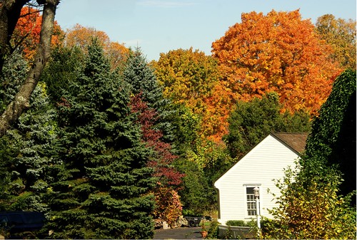 Greenfield Hill, Fairfield, CT. - fall colors 