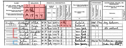 Census Record Detail , Duffy Family - 1900, NY, NY ED 491