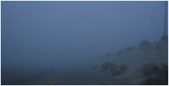 0101_fog