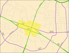 potentially eligible streets in Leesburg (image courtesy of CNU)