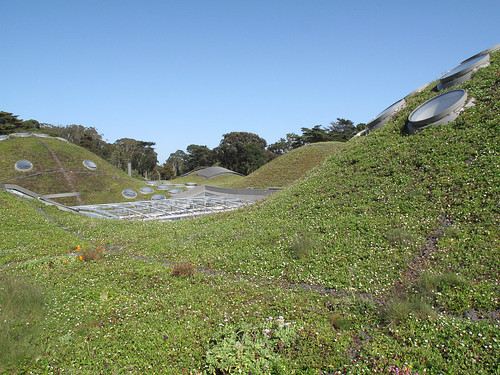 hills on the green roof