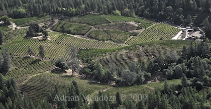 "Aerial Photo" "El Dorado County" "Boeger Vineyards" "Wine Country" "Apple Hill"