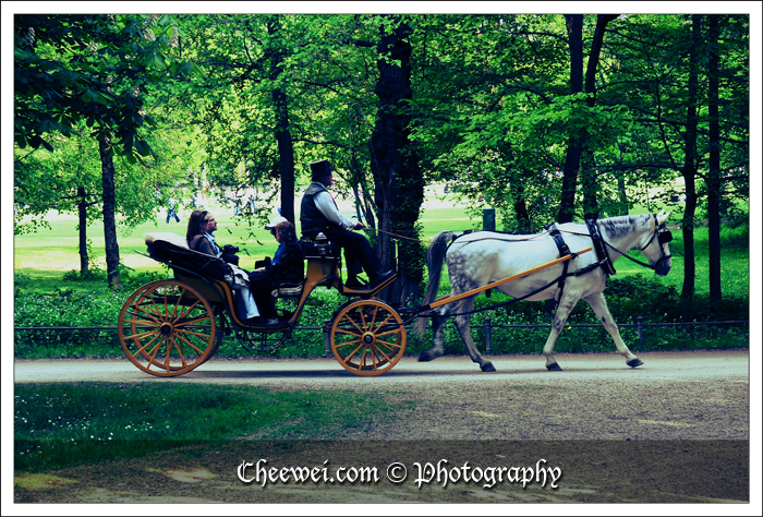 Horse Carriage in English Garden, Munich, Germany
