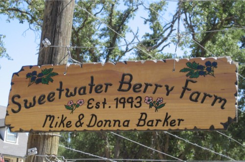 Sweetwater Berry Farm